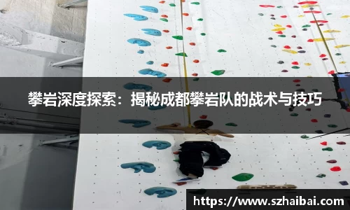 攀岩深度探索：揭秘成都攀岩队的战术与技巧