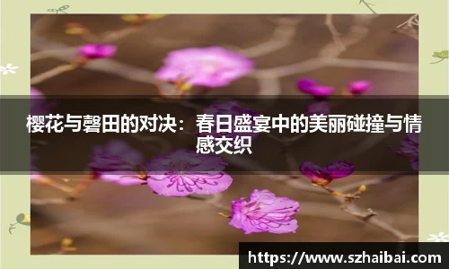 樱花与磬田的对决：春日盛宴中的美丽碰撞与情感交织